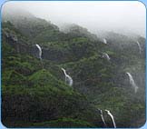 Amboli